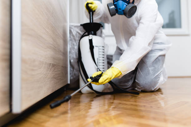 Best Mosquito Control Services  in Afton, WY