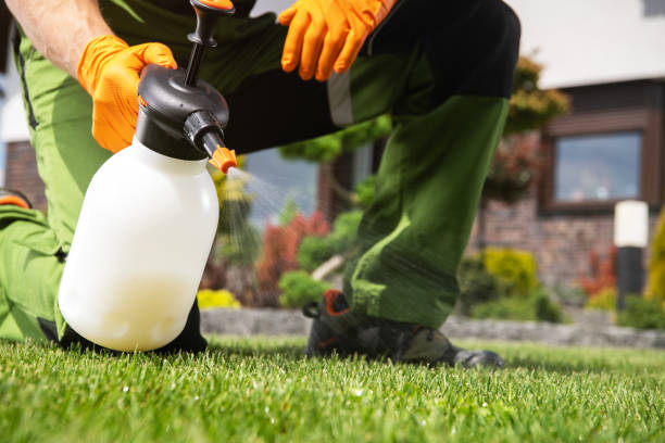 Best Insect Control  in Afton, WY