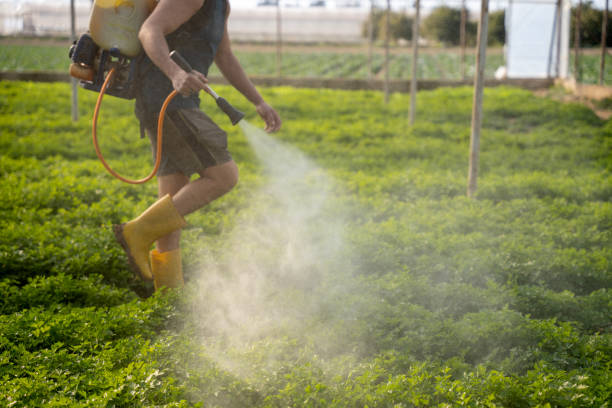 Best Pest Prevention Services  in Afton, WY