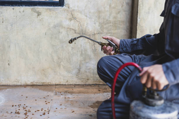Best Affordable Pest Control Services  in Afton, WY