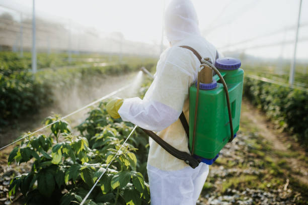 Best Wildlife Control Services  in Afton, WY